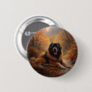Search for mastiffs badges Dog