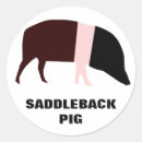Search for saddleback Pigs