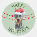 Search for mini doberman stickers Cute