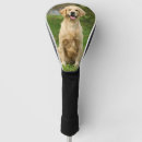 Search for golden retriever golf head covers Dog