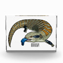 Search for lizard picture Reptile