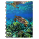 Search for exotic notebooks Sea