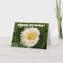 Search for dahlia birthday cards Flower