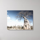 Search for baobab tree art Nature