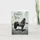 Search for vintage horse photos cards Animal