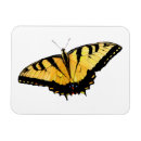 Search for tigers magnets Kitchen