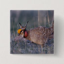 Search for bird portrait square badges Natural