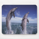 Search for dolphin mouse mats Marine life