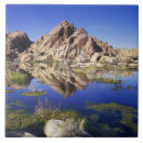 Search for national park tiles Scenic