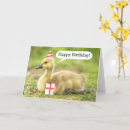 Search for gosling cards Animal