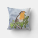 Search for robin christmas cushions Xmas