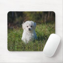 Search for outdoors mouse mats Photograph