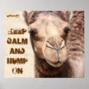 Search for funny camel art Hump day camel
