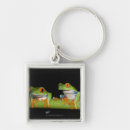 Search for tree frogs key rings Full length