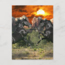 Search for horse sunset postcards Desert