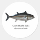 Search for tuna stickers Ocean