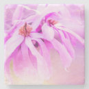 Search for pretty coasters Nature