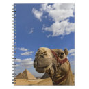 Search for egypt notebooks Adam jones