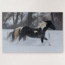 Search for horses and snow puzzles Running