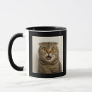Search for gay pride mugs Meme