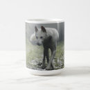Search for white siberian husky mugs Dog