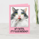 Search for puss cards Cat