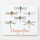 Search for dragon fly electronics Nature
