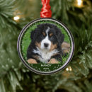 Search for cat pet memorial ornaments Simple