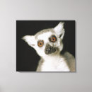 Search for single looking art No people