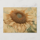 Search for giant flower postcards Floral