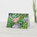 Search for happy daisy cards Country