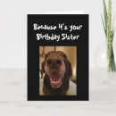 Search for big sister cards Funny