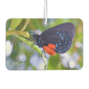 Search for blue butterfly car air fresheners Wings
