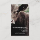 Search for steer business cards Cow