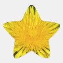 Search for yellow dandelions stickers Petals