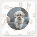 Search for bone stickers Dog bones