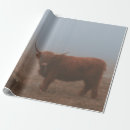 Search for highland cow wrapping paper Vintage
