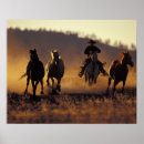 Search for properties posters Animal