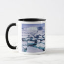 Search for antarctica mugs Scenic