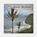 Search for big tree magnets Photography