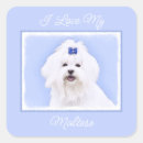 Search for maltese dog stickers Puppy