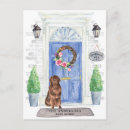 Search for newfoundland postcards Dog