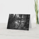 Search for riverside cards Ansel adams