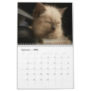 Search for silly calendars Cute