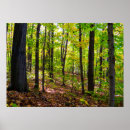 Search for canadian forest posters Canada