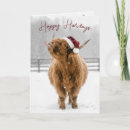 Search for scottish christmas cards Highland cow