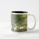 Search for migrate coffee mugs Tanzania