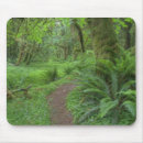 Search for jamie mouse mats Tree