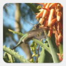 Search for chin chin stickers Hummingbird