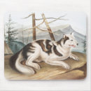 Search for dog drawing mouse mats Vintage